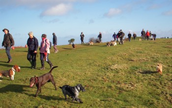 Quantocks